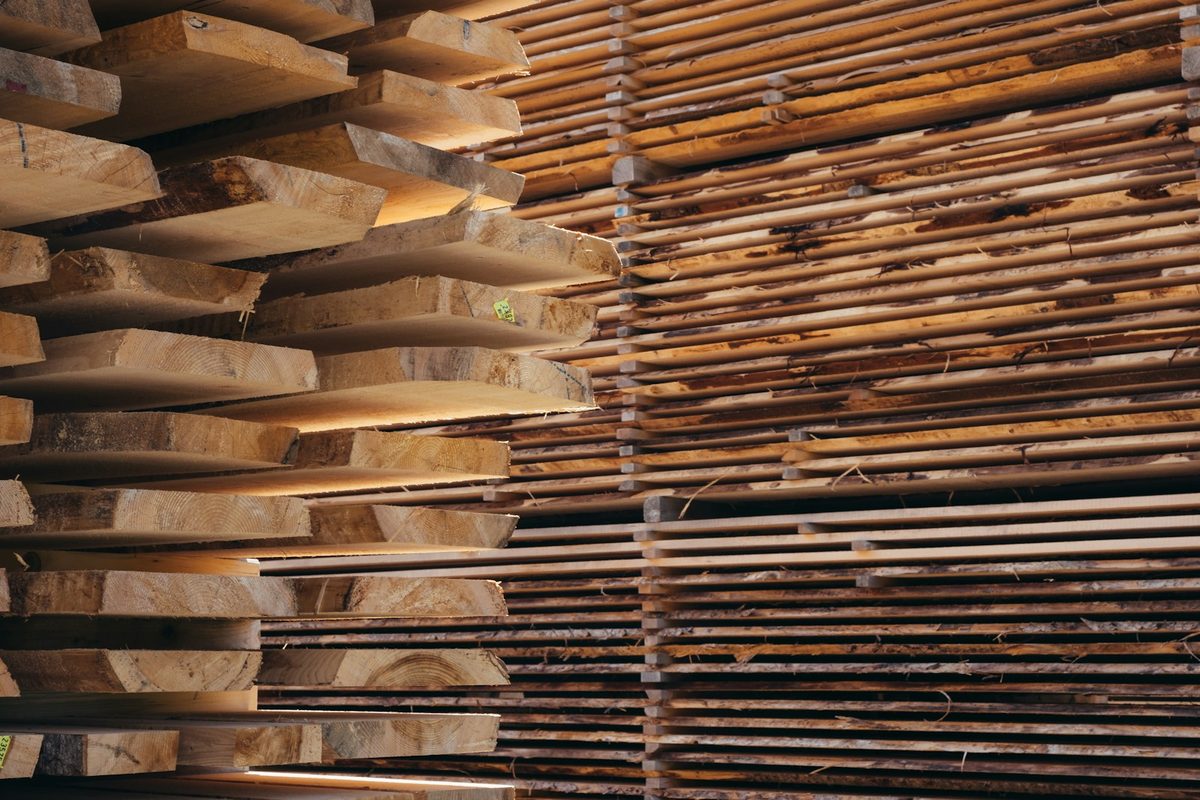 A sawmill operator logging timber intake on a phone at the log yard — mill-floor EUDR record-keeping