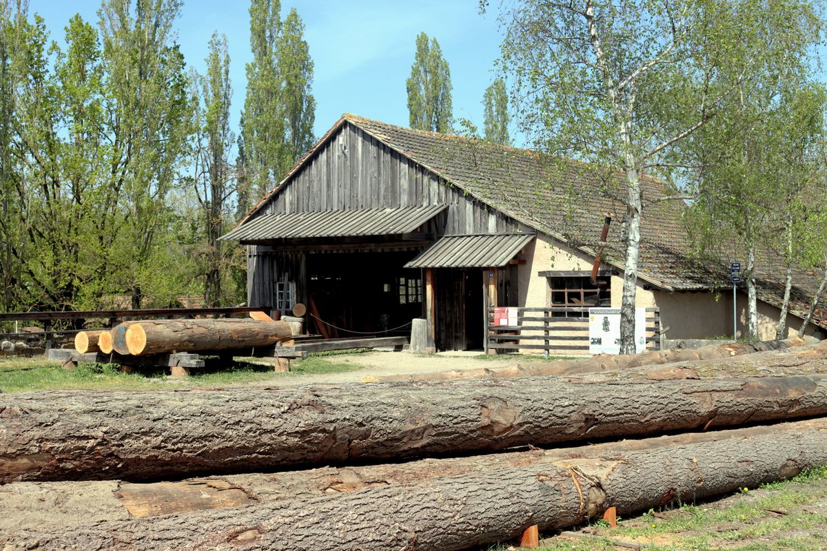 The complete guide to sawmill optimization in 2026